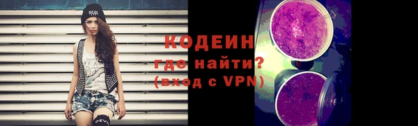 шишки Покачи