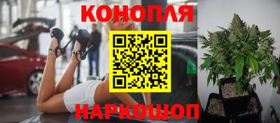 трава Балахна