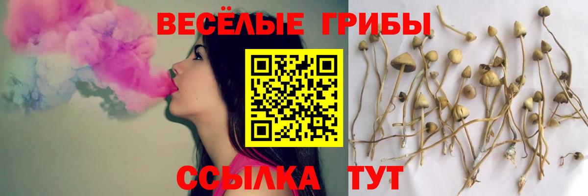 Псилоцибиновые грибы MAGIC MUSHROOMS  Вход с VPN  Чусовой  Псилоцибиновые грибы мицелий 